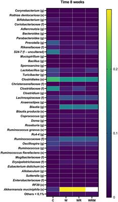Limosilactobacillus reuteri DSM 17938 reverses gut metabolic dysfunction induced by Western diet in adult rats